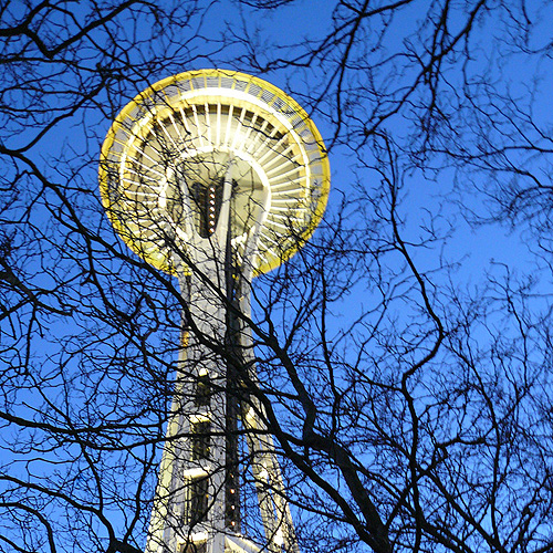 Looking up at the Space Needle lit above the trees in the night sky